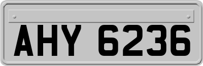 AHY6236