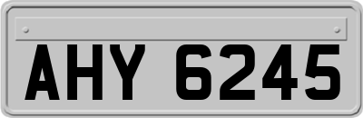 AHY6245