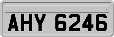 AHY6246