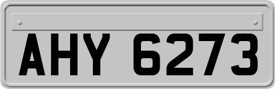 AHY6273