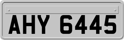 AHY6445