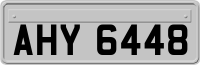 AHY6448