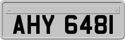 AHY6481