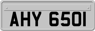 AHY6501