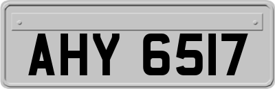 AHY6517