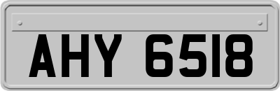 AHY6518