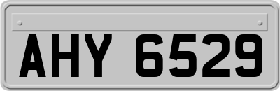 AHY6529