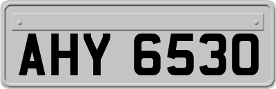 AHY6530