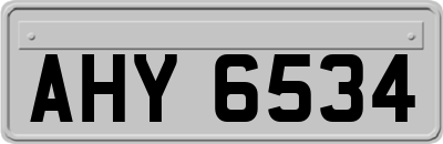 AHY6534
