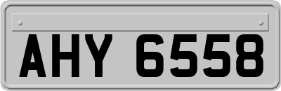 AHY6558