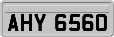 AHY6560