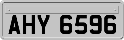 AHY6596