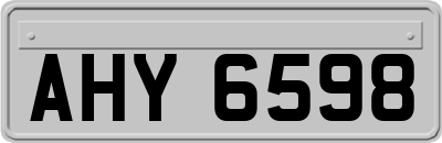 AHY6598