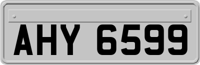 AHY6599