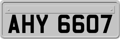 AHY6607