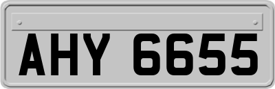 AHY6655