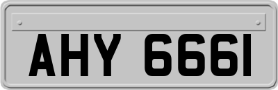 AHY6661