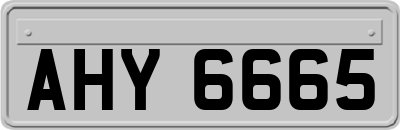 AHY6665