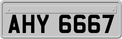 AHY6667