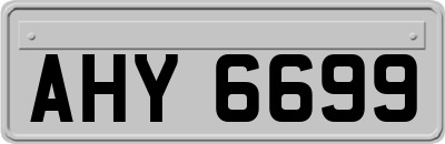 AHY6699