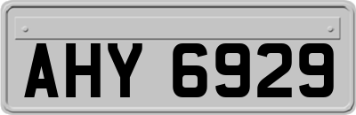 AHY6929