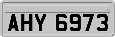 AHY6973