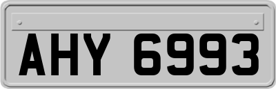 AHY6993