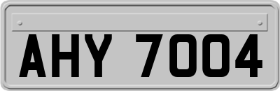 AHY7004