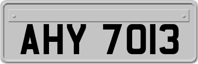 AHY7013