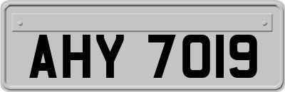 AHY7019