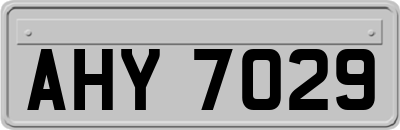 AHY7029