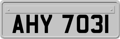 AHY7031