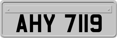 AHY7119