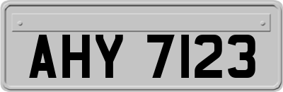 AHY7123