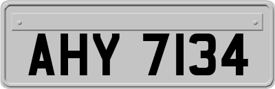 AHY7134