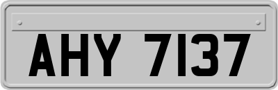 AHY7137