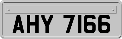 AHY7166