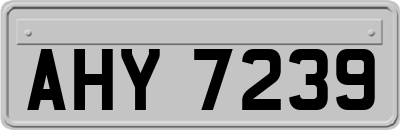 AHY7239