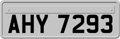 AHY7293