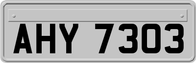 AHY7303