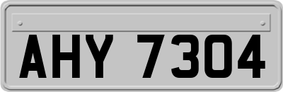 AHY7304
