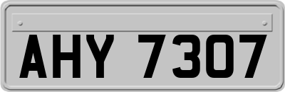AHY7307