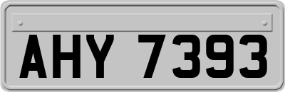 AHY7393