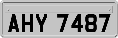AHY7487
