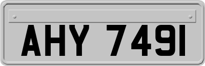 AHY7491