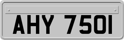 AHY7501
