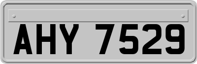 AHY7529