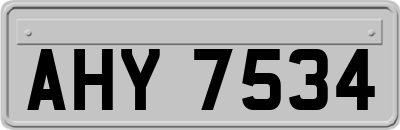 AHY7534