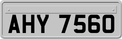 AHY7560