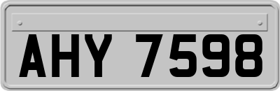 AHY7598